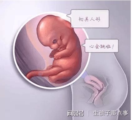 显微操作